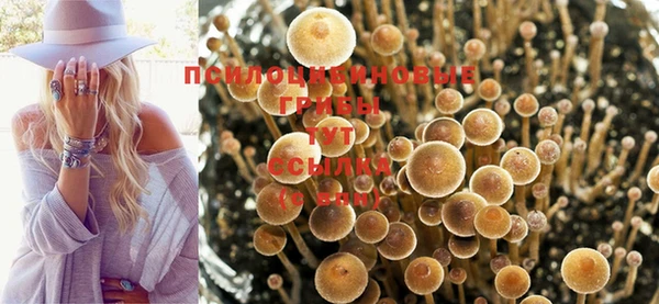 дурь Тихвин