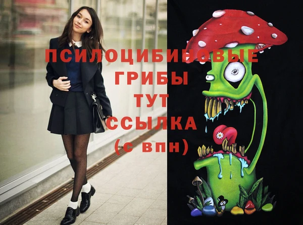 соль курить ск Туринск