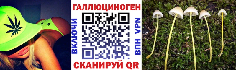 где купить наркоту  Барабинск  Галлюциногенные грибы Psilocybine cubensis 